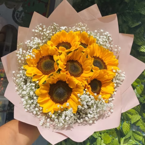 Girasol