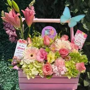 Mariposa floral