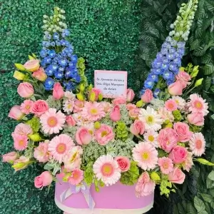 Flores preimum 2